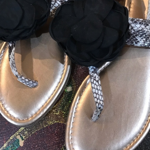 ▪️BCBGeneration Snakeskin Flip Flops with Straps - Picture 2 of 9